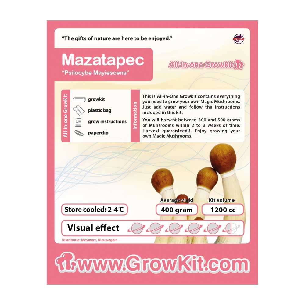 Mazatapec – Bild 2