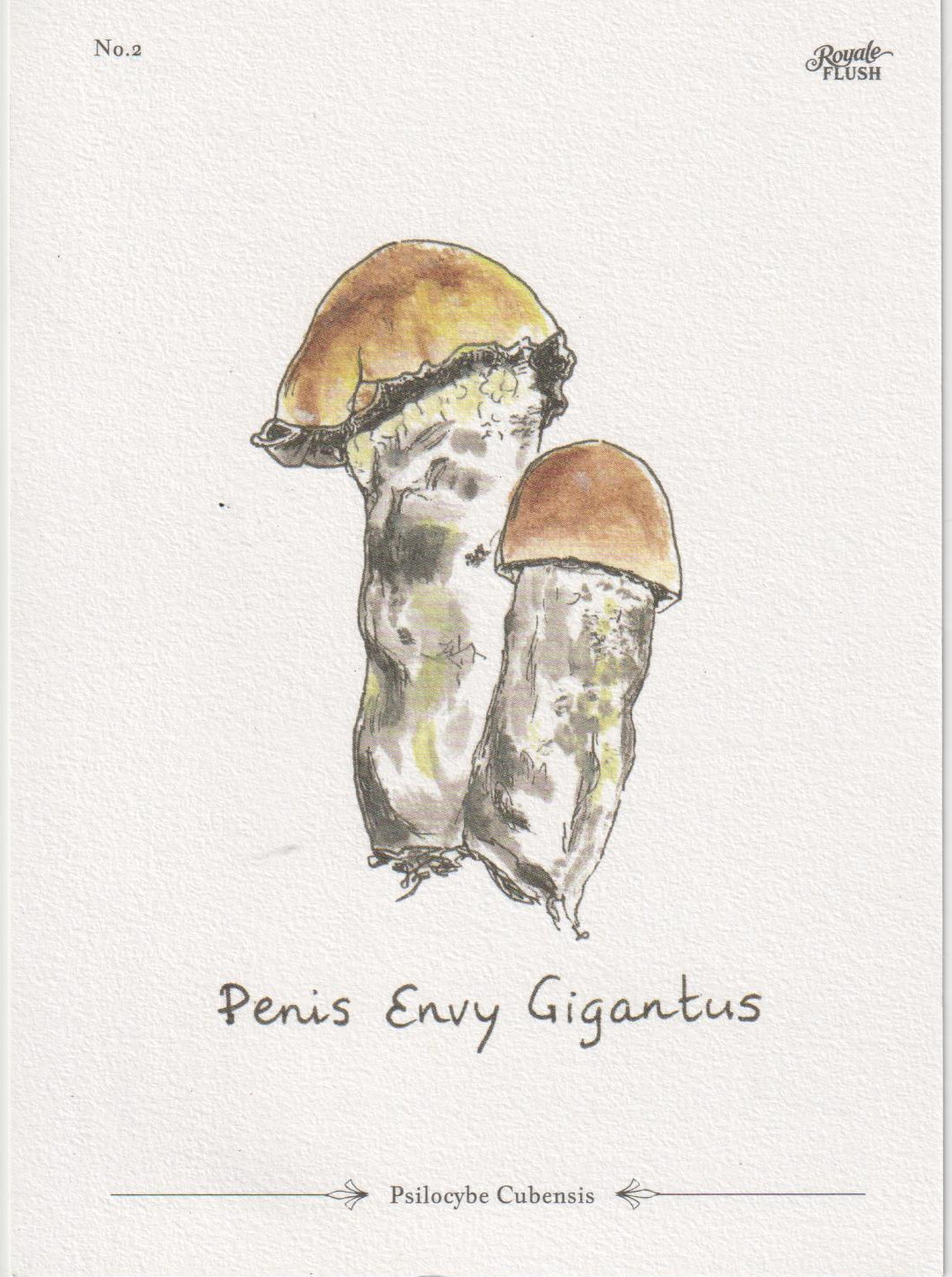 Penis Envy Gigantus – Bild 2