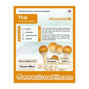 Thai – Bild 2