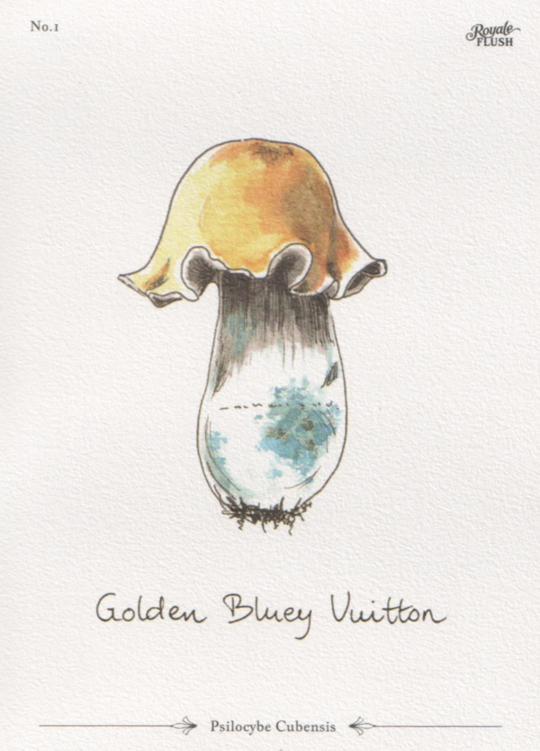 Golden Bluey Vuitton