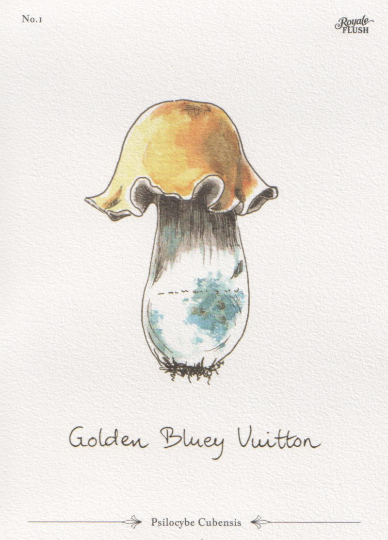 Golden Bluey Vuitton – Bild 2