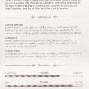 Golden Bluey Vuitton – Bild 3