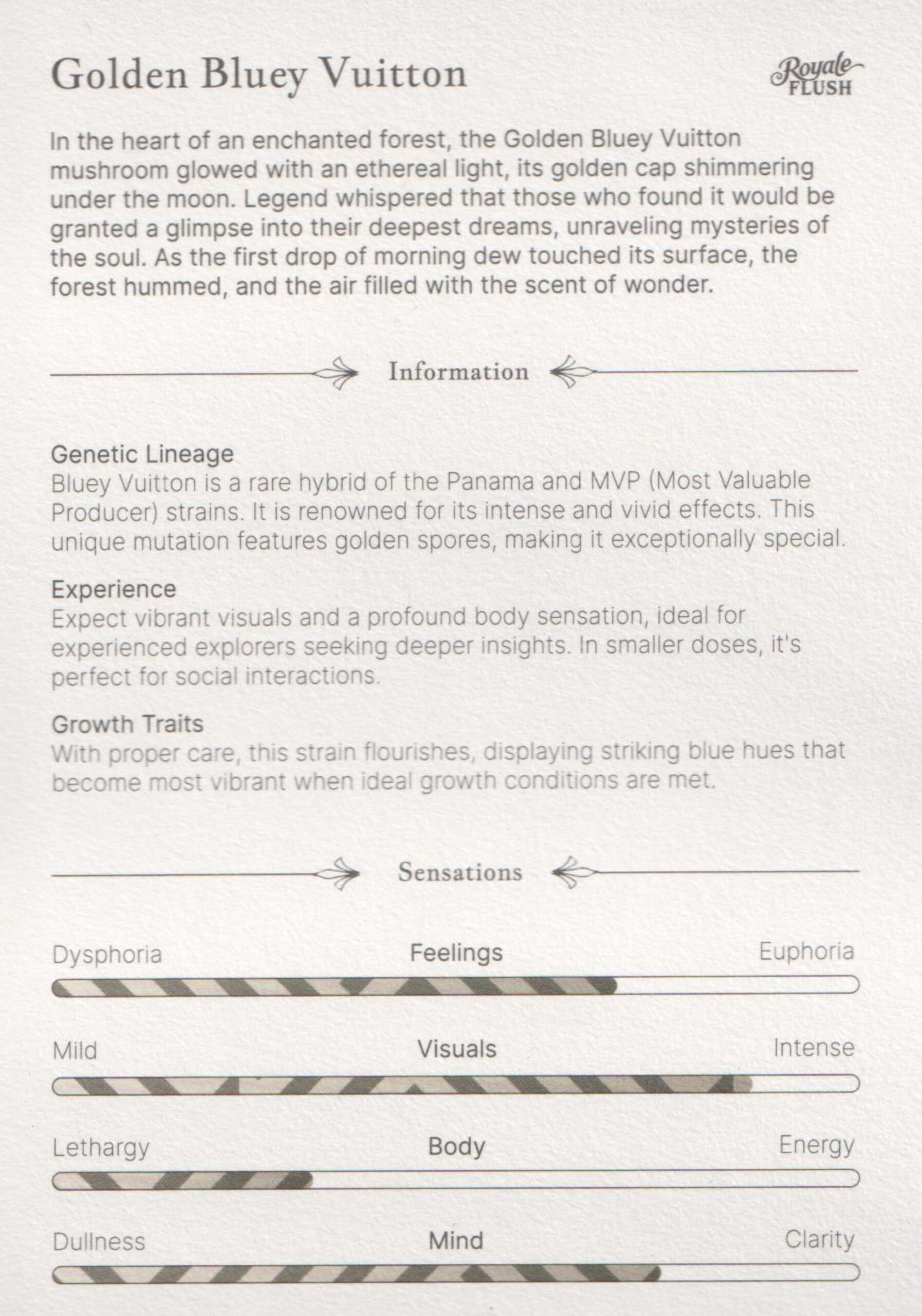 Golden Bluey Vuitton – Bild 3