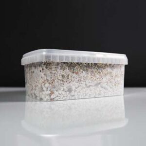 Golden Teacher – Bild 2