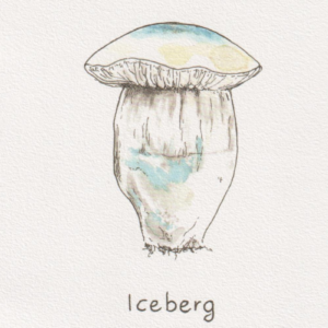 Iceberg – Bild 3
