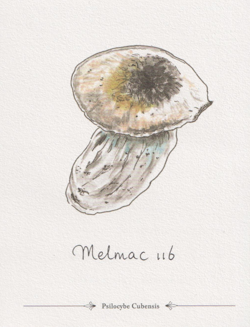 Melmac 116 – Bild 2