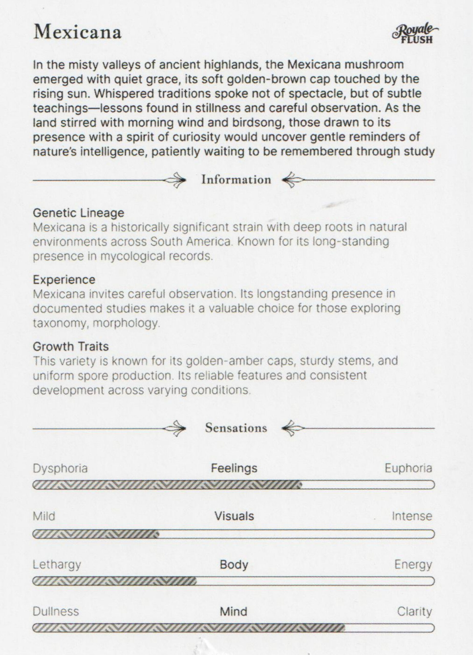 Mexicana – Bild 3