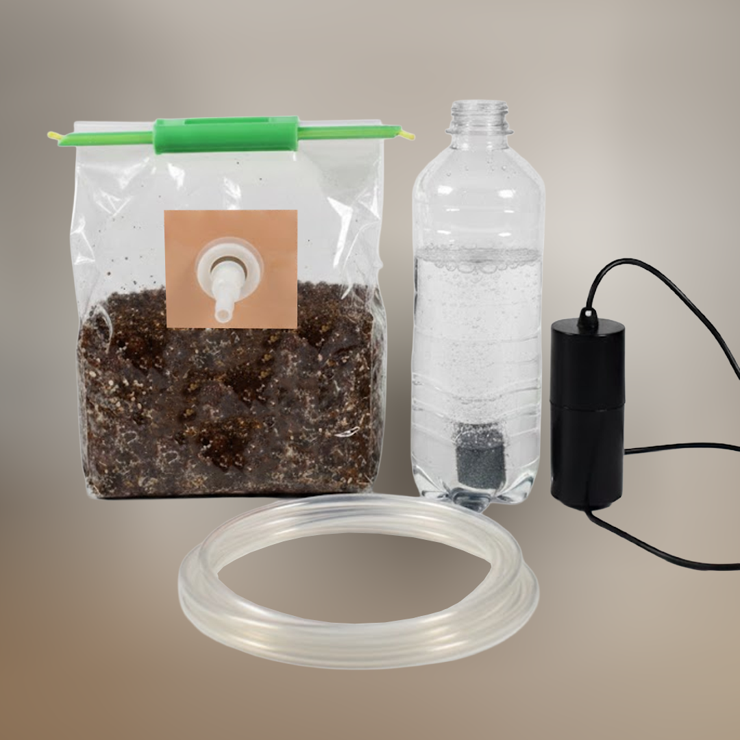 Pilzzuchtsystem – Bild 1