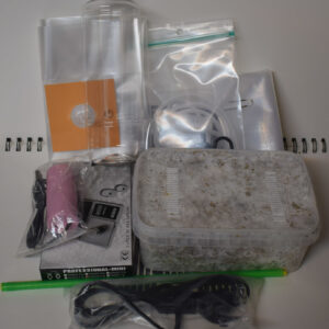 Treasure Coast (Komplettpakete) – Bild 5