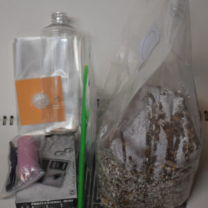 Treasure Coast (Komplettpakete) – Bild 6