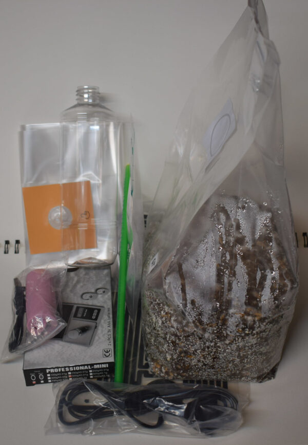 Treasure Coast (Komplettpakete)